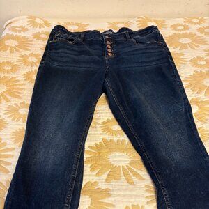 Edgely High-Rise Super Skinny Jeans – Size 20W Short